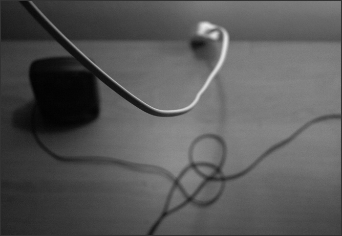 still life