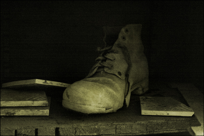 still life