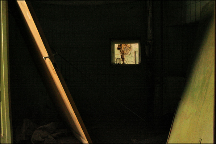 still life